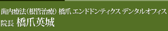 歯内療法（根管治療）
橋爪　エンドドンティクス　デンタルオフィス　　　　院長　橋爪英城