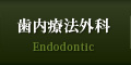 歯内療法外科 Endodontic