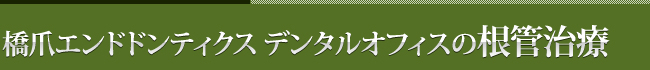 橋爪エンドドンティクス　デンタルオフィスの根管治療