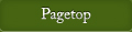 PAGE TOP