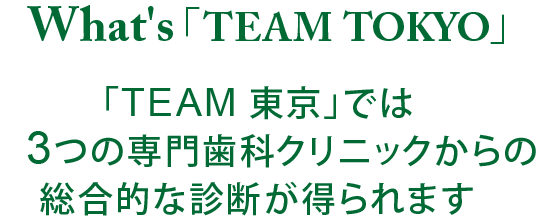 What's「TEAM TOKYO」